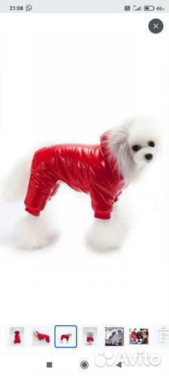 Комбинезон для собачки мелких и средних пород