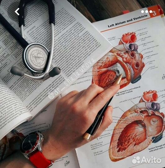 Репетитор по медицинским дисциплинам