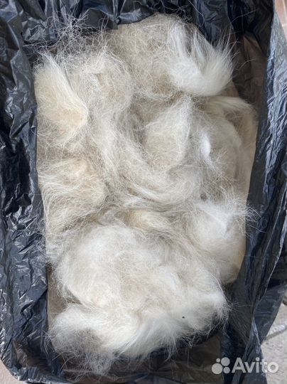 Собачья шерсть