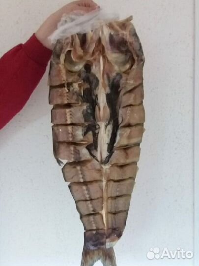 Морепродукты и рыба