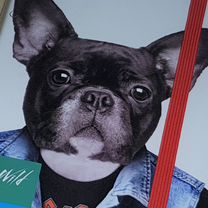 the dog collection - Купить недорого электронику во всех регионах ...