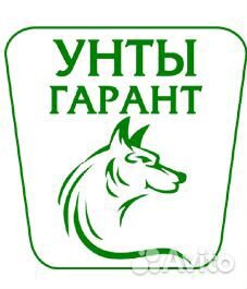 Сапожники