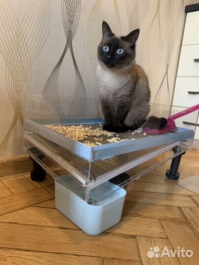 Лоток для Кошек от выпускников Бауманки (стандарт)