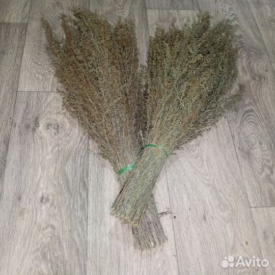 Веник полыни горькой