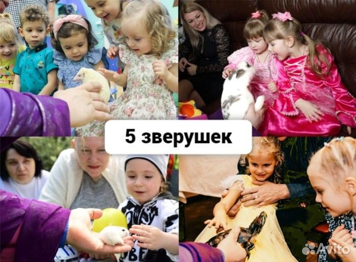 Фокусы с животными, Аниматор - Фокусник с кроликом