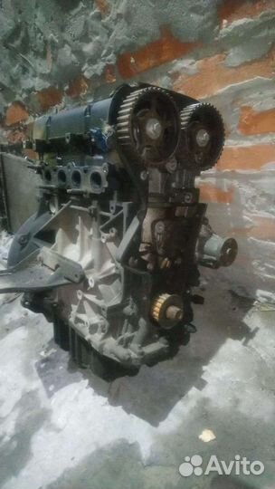 Двигатель ford focus 2 1.6 100 л с