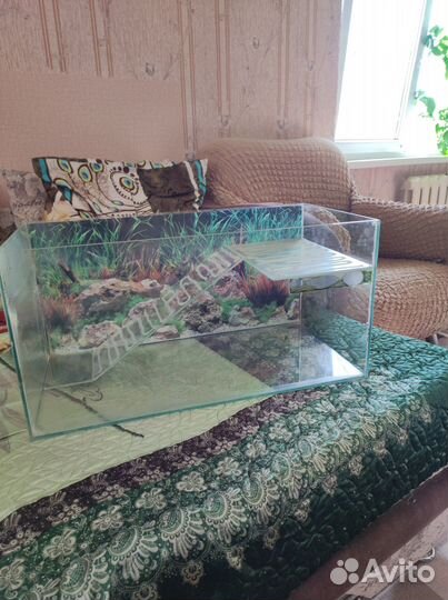 Аквариум для красноухой черепахи