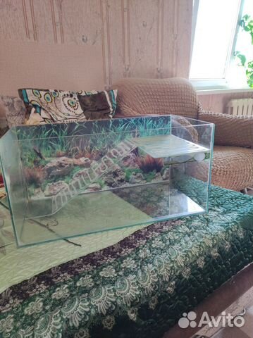 Аквариум для красноухой черепахи