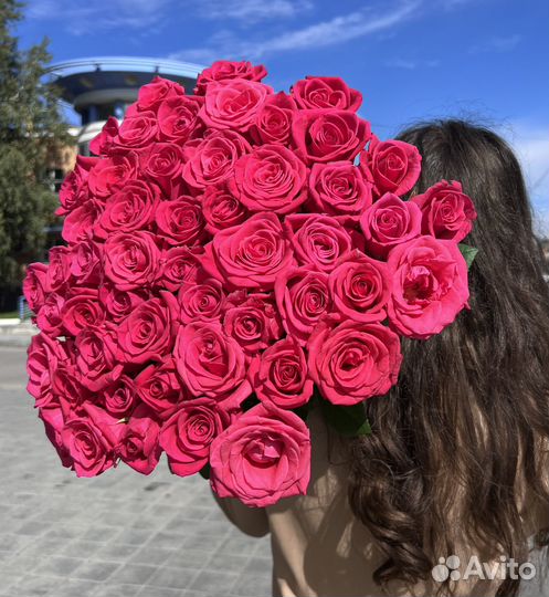 Роза Голландия 60 см.(высокая),бесплатная доставка