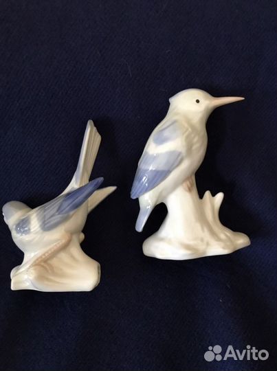 Птицы Германия