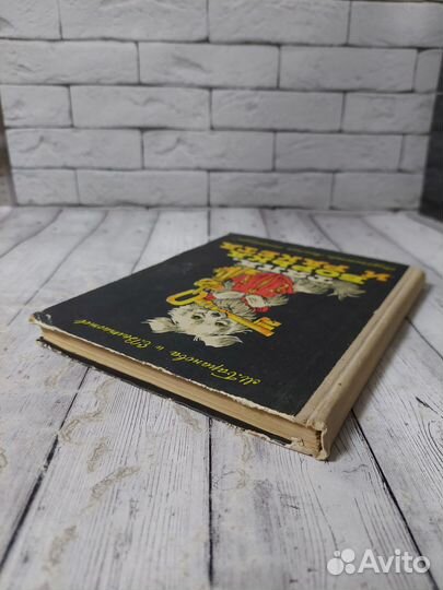 Баранова М. Тяпа, Борька и ракета