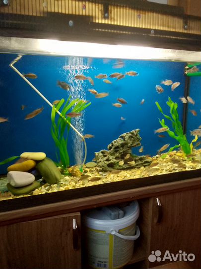 Аквариум с тумбой