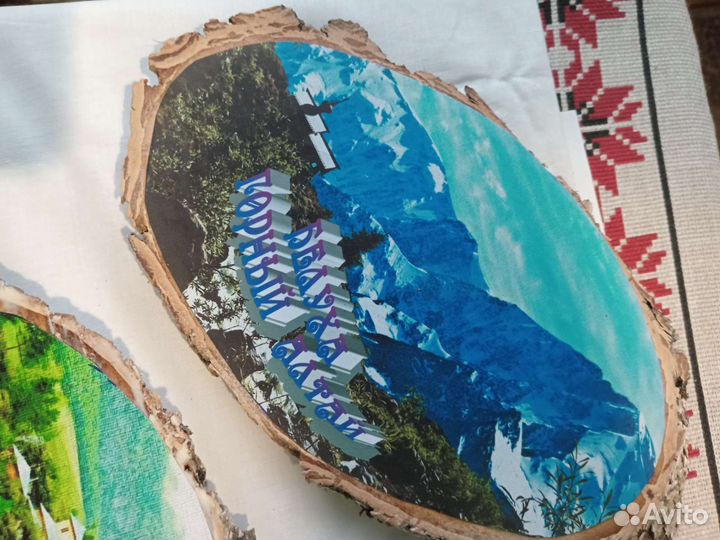 Фото на спилах береза