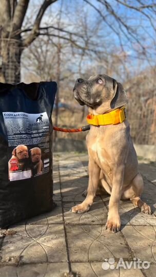 Корм для щенков от 2х месяцев