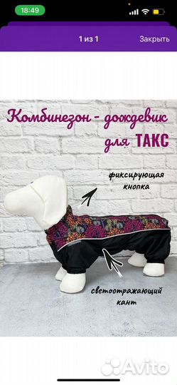 Дождевик для корги (таксы)