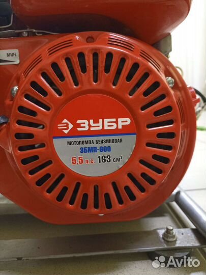 Мотопомпа Зубр