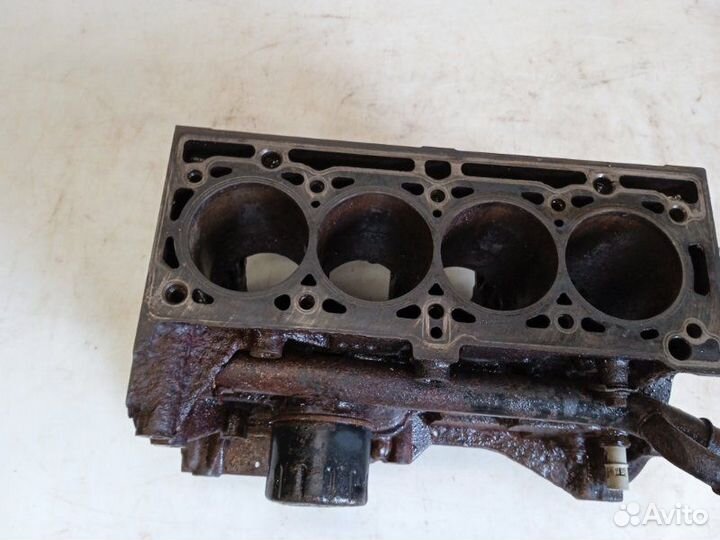 Блок двигателя Renault Kangoo