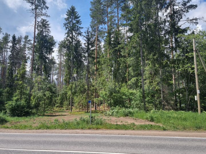 Участок 16 сот. (ИЖС)