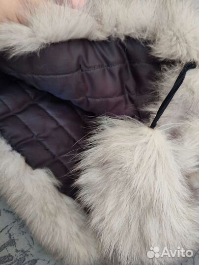 Енот и песец