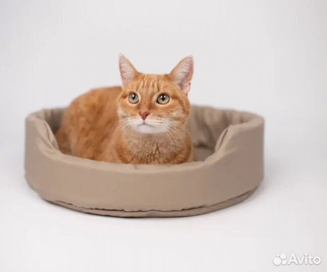 Лежанка для кошек и маленьких собак