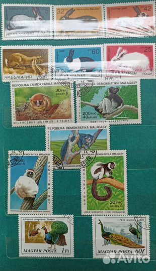Коллекция марок СССР и соцстраны 70-80х гг