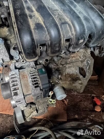 Продам двигатель на Nissan Tiida Latio