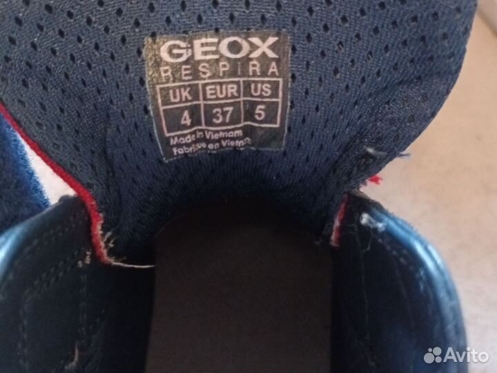 Кеды демисезонные geox