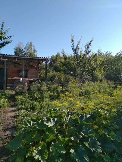 Дача 14 м² на участке 6 сот.