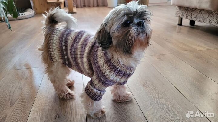 Вязаная одежда для собак и кошек