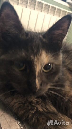 Машулька маленькая прелесть