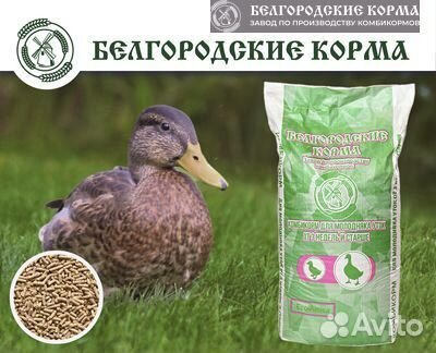 Комбикорм для водоплавающих