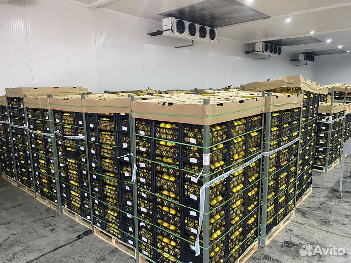 Овощи фрукты оптом