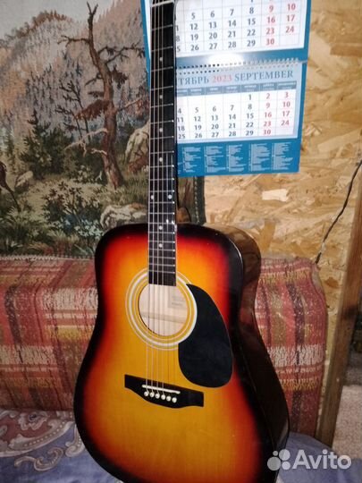 Акустическая гитара Adams W 4100 TCB