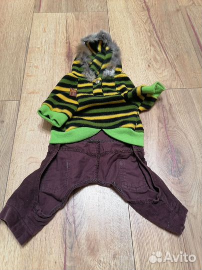 Одежда для собак мелких пород