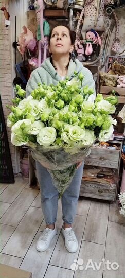 Лизиантус (эустома) оптом и в розницу