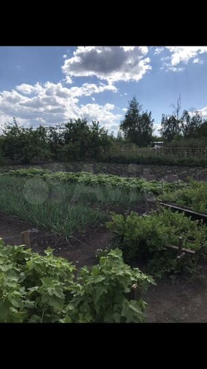 Дача 20 м² на участке 12 сот.