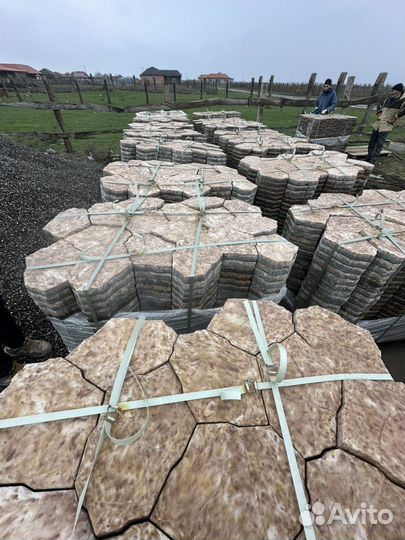 Брушатка цветок