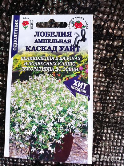 Цветы однолетнии