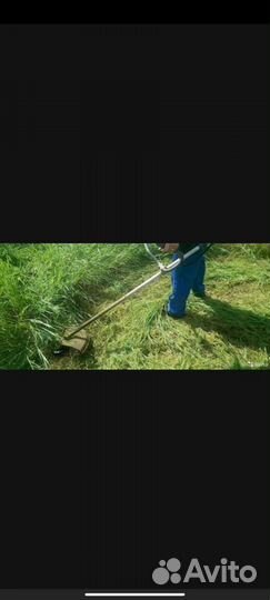 Покос травы триммером