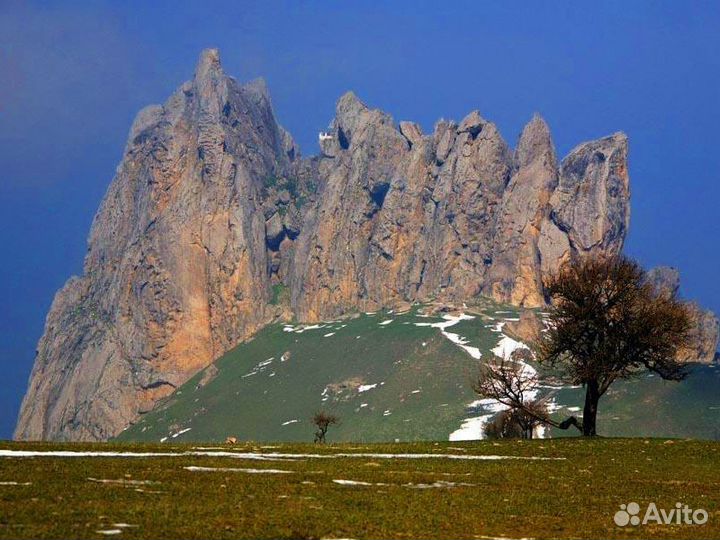 Баку Топ-Экскурсия Большое путешествие по Азербайд