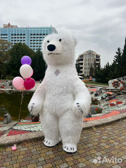 Поздравление Белый Мишка, Панда, Кролик, Зайка