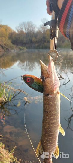 Джеркбейты