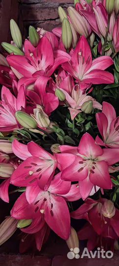 Живые цветы букеты