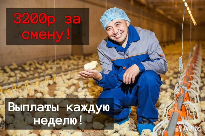 Разнорабочий от 15 смен / Проживание + Питание