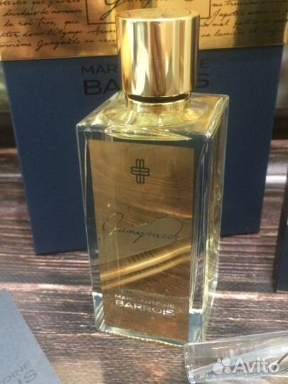 Ganymede Mars-Antoine Barrois