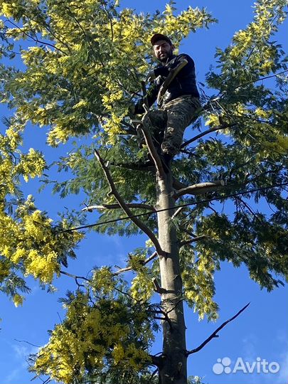 Букет цветы