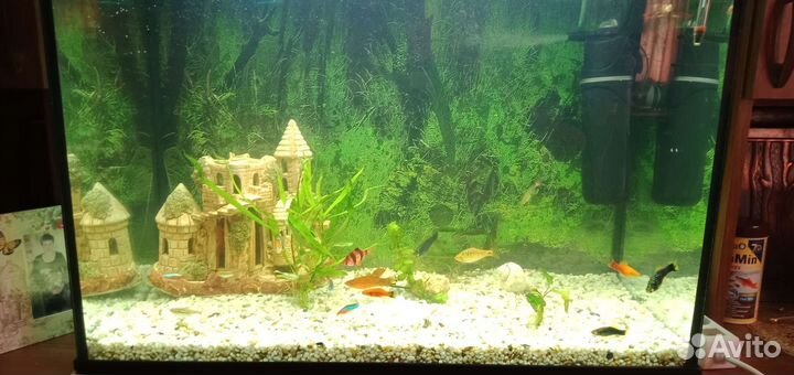 Украшение для аквариума