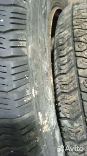 Белшина Artmotion HP 75/70 R13