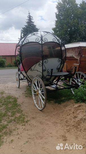 Карета золушка