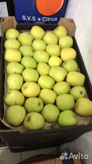 Оптовая продажа фруктов и овощей